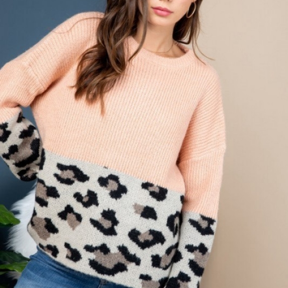 Colorblock animal print sweater - Picture 8 of 8